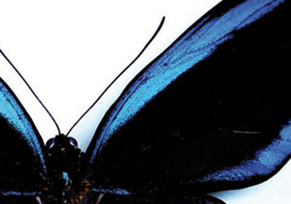 Cover print catalogue, conzept, layout, grafics, text